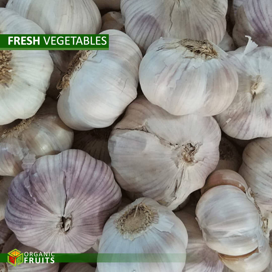 Bulbs of fresh organic garlic arranged on a rustic wooden table, showcasing their earthy texture and vibrant white and purple skin.