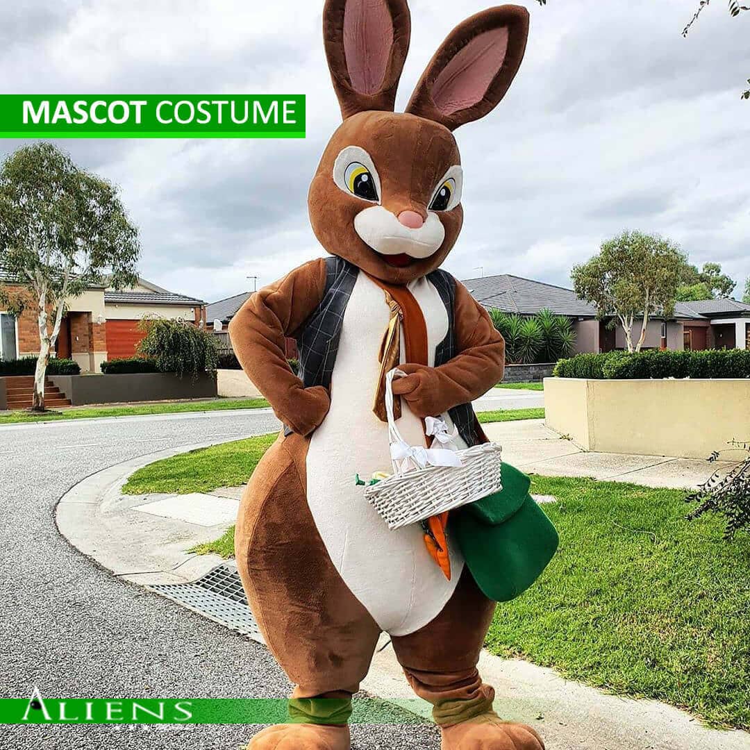 Cartoon character mascot costume at a children’s birthday party.