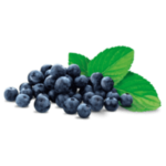 Natural Blueberry Mint Flavor – Refreshing & Fruity with a Cool Twist