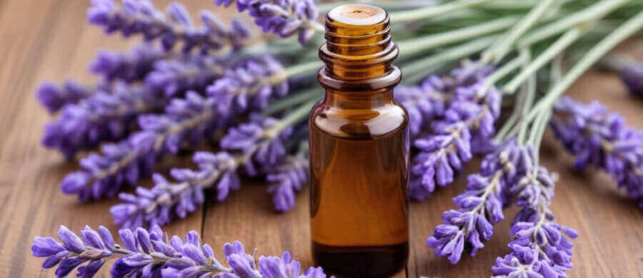 Premium Essential Oil – Extracted from Nature’s Finest Plants