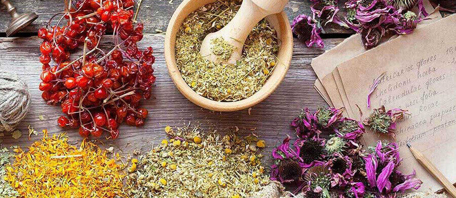 Herbal Extracts – Pure Botanical Solutions for Health & Wellness