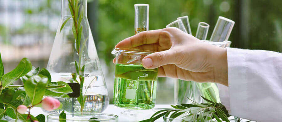 Herbal Extracts – Quality Botanical Ingredients for Global Industries