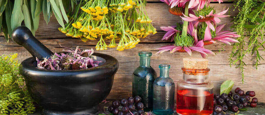 Herbal Extracts – A Natural Touch for High-Quality Products