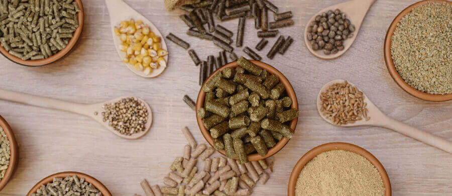 Herbal Extracts – Pure and Natural Solutions for Food, Beverage, and Cosmetics