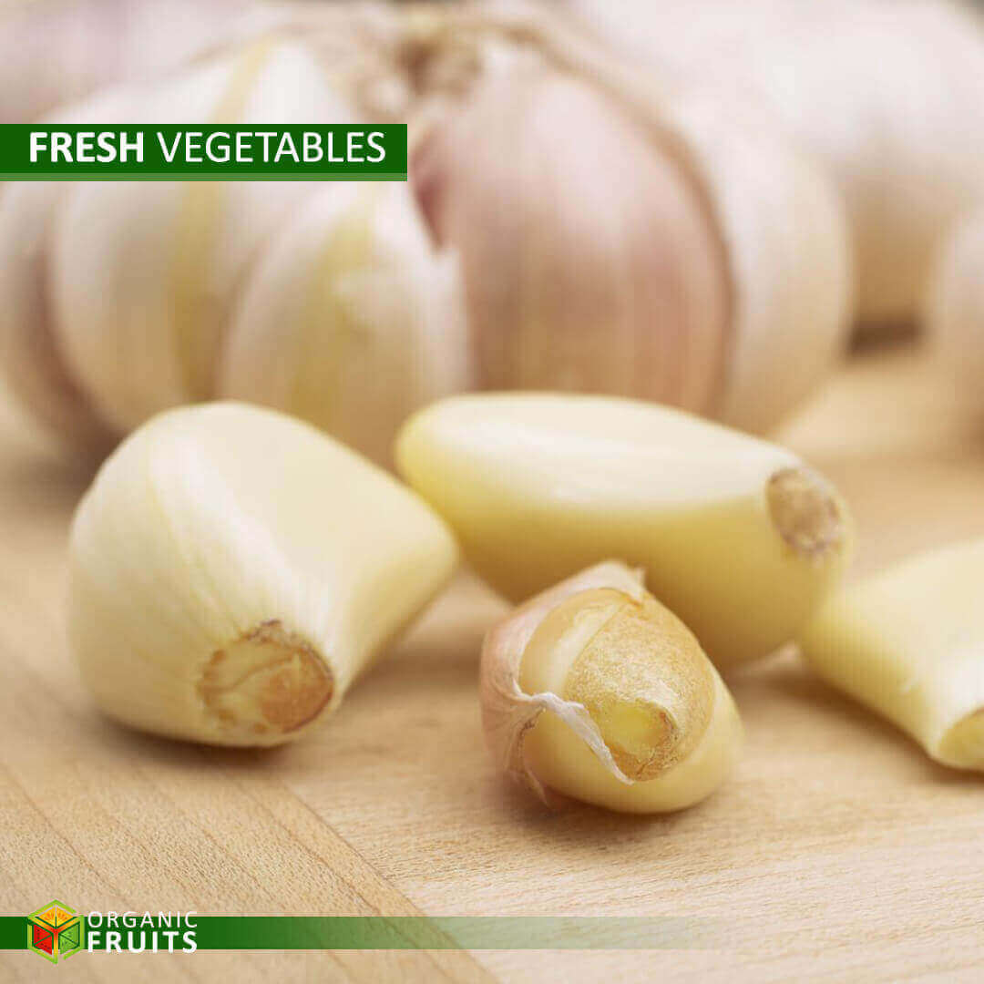 Fresh Lebanese Organic Garlic – Grown Naturally for Rich Flavor