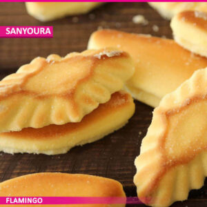 Sanyoura
