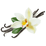 Natural Vanilla Flavor – Rich & Creamy Sweet Essence